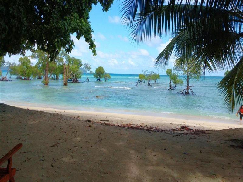 Coconhuts Beach Resort Lakshmanpur Exteriér fotografie