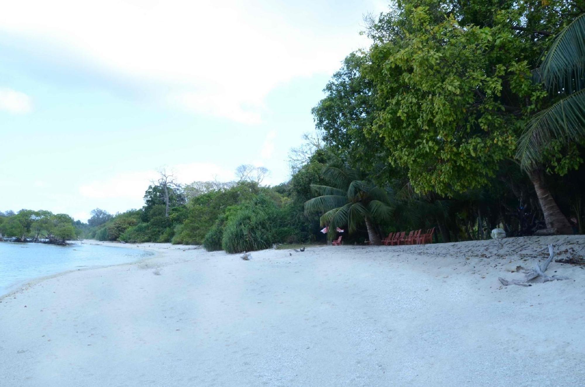 Coconhuts Beach Resort Lakshmanpur Exteriér fotografie
