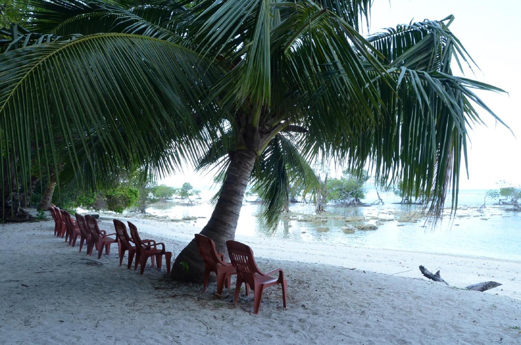 Coconhuts Beach Resort Lakshmanpur Exteriér fotografie