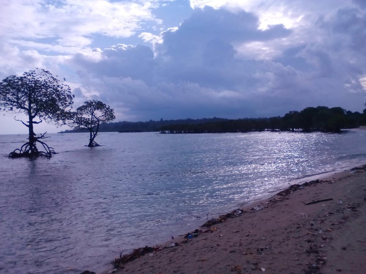 Coconhuts Beach Resort Lakshmanpur Exteriér fotografie